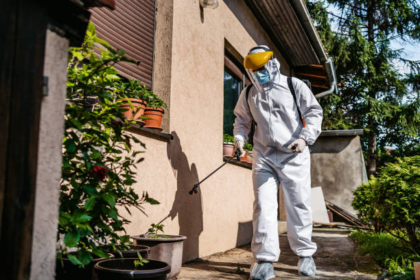 Reliable Oakland, NE Pest Control Solutions