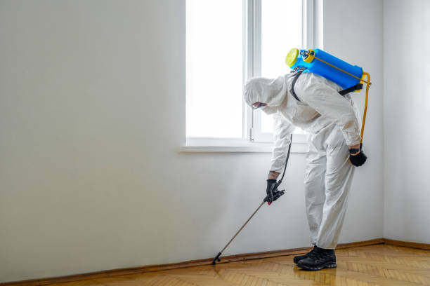 Best Local Pest Control Services  in Oakland, NE