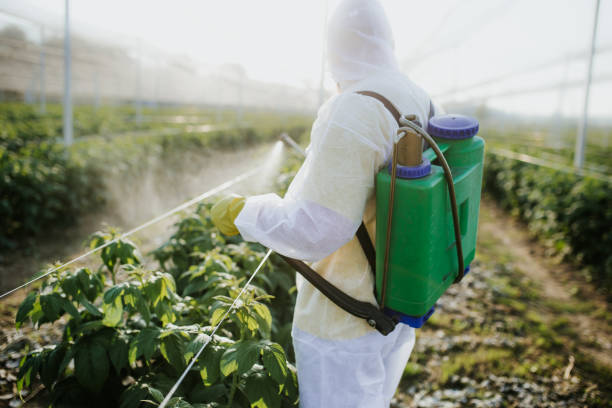 Best Pest Prevention Services  in Oakland, NE